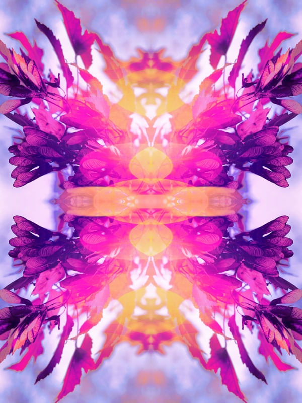 FLOWERS ABSTRACT 1