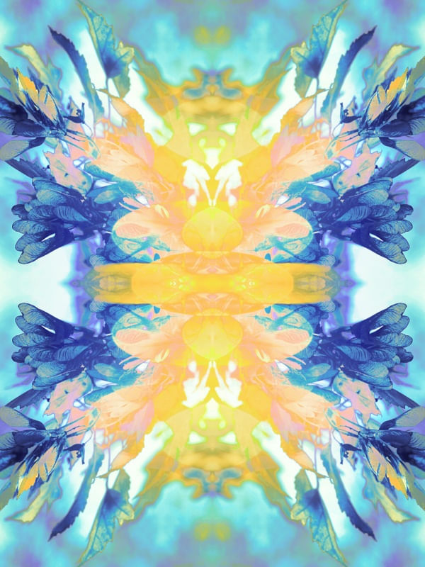 FLOWERS ABSTRACT 2