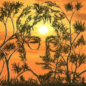 A LUZ DE JOHN LENNON