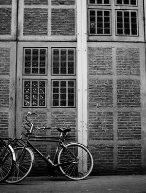 BIKE AMSTERDAN 3