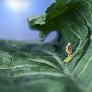 KALE SURF