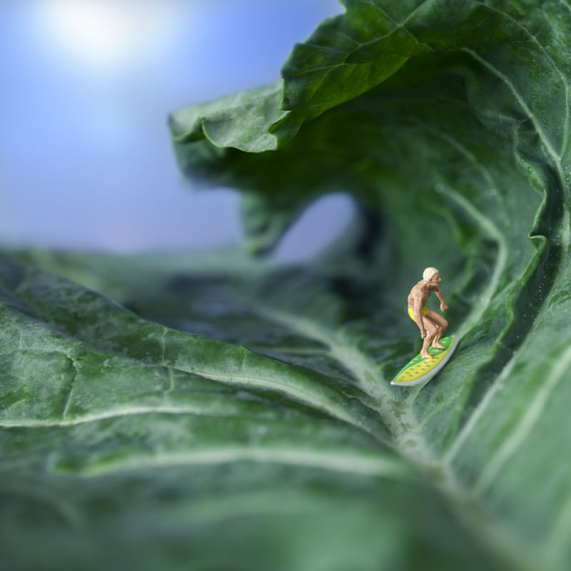 KALE SURF