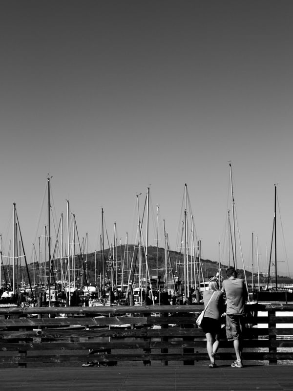 LOVE IN SAN FRANCISCO