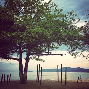PARATY 1