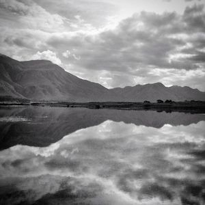 REFLEXO NATURAL