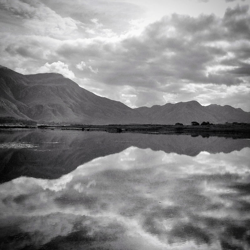 REFLEXO NATURAL