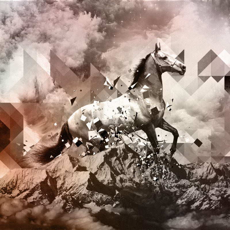 HORSE POWER