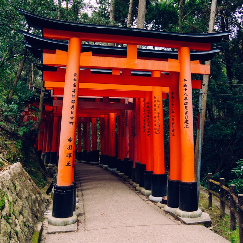 KYOTO TORI