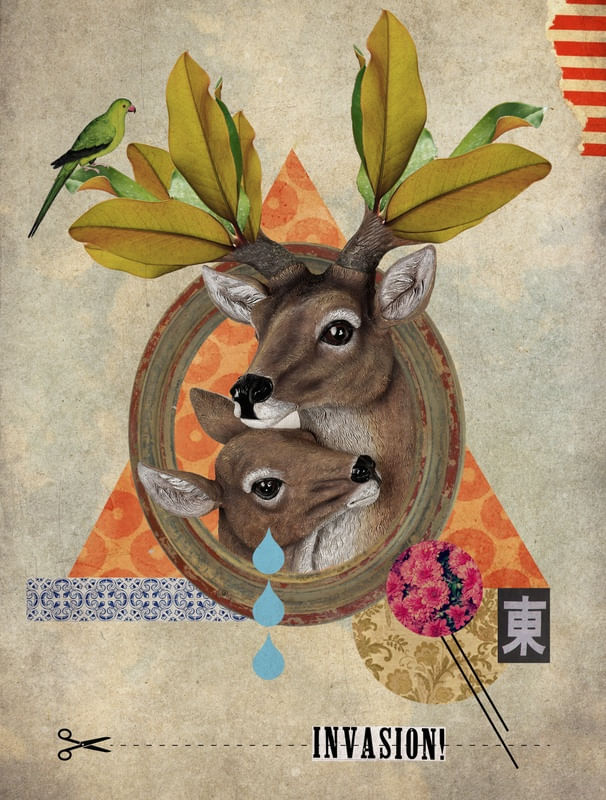ANIMAL COLLECTION: OH DEER!