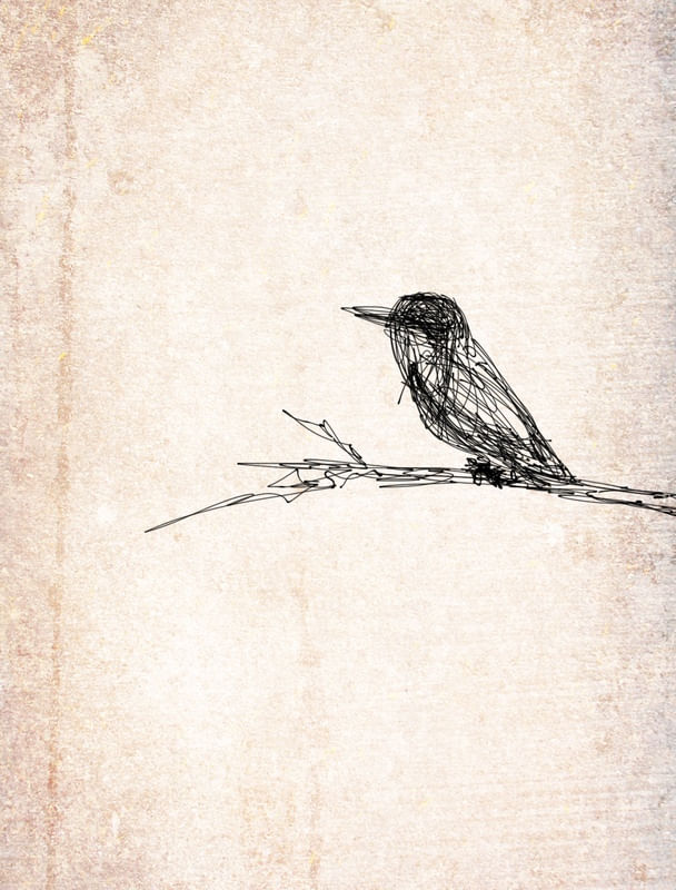 LET IT BIRD