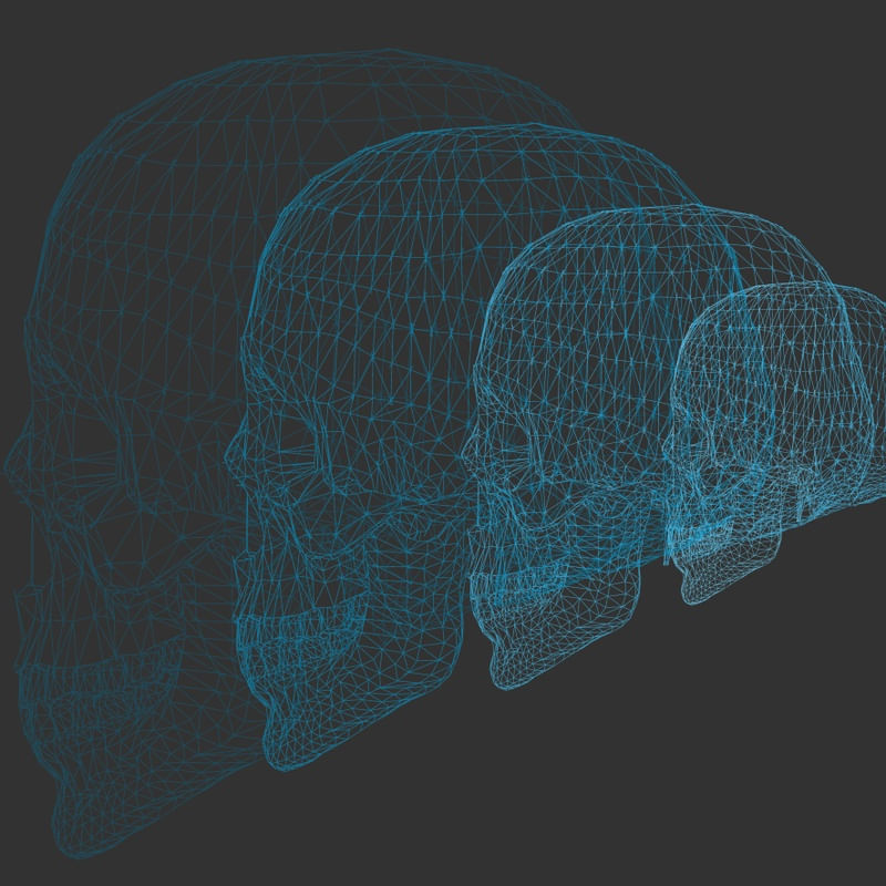 SKULL SOUL