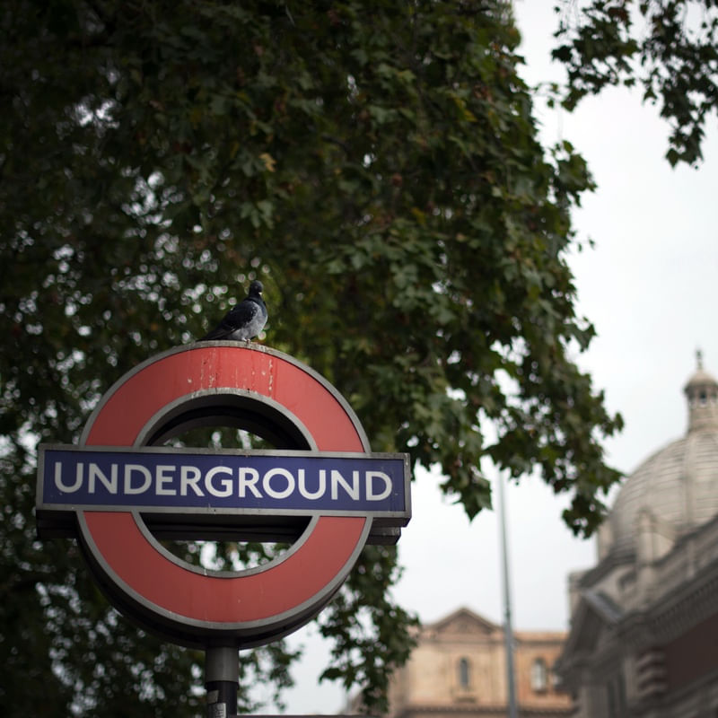 UNDERGROUND AND PIGEON