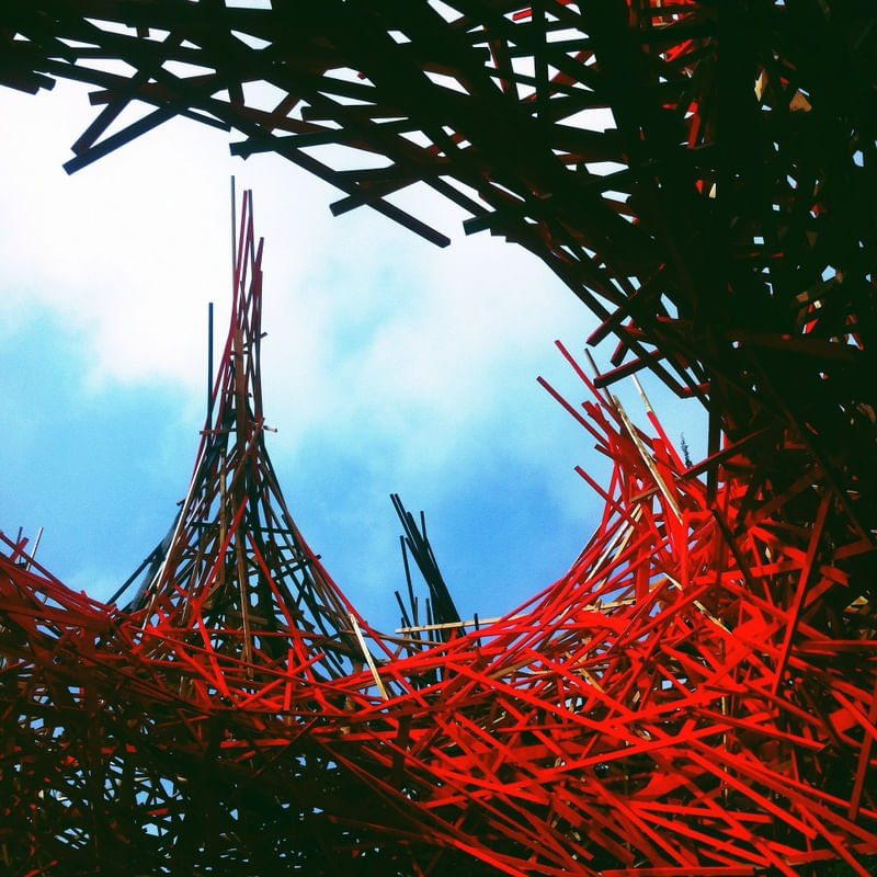 NEST