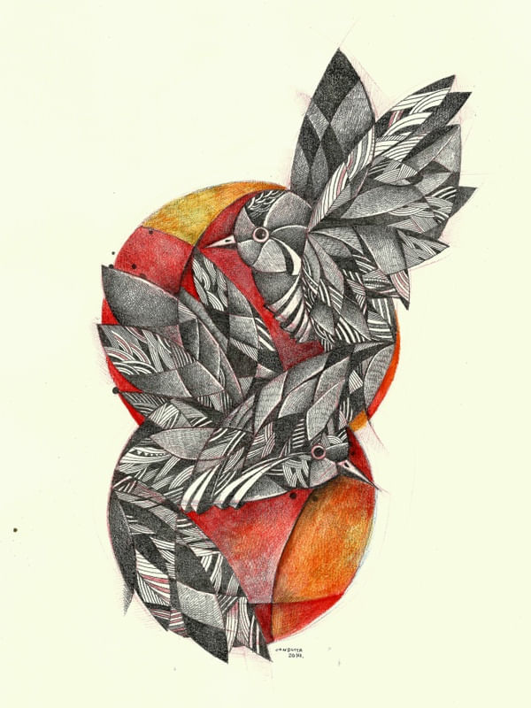 BIRDS DRAW
