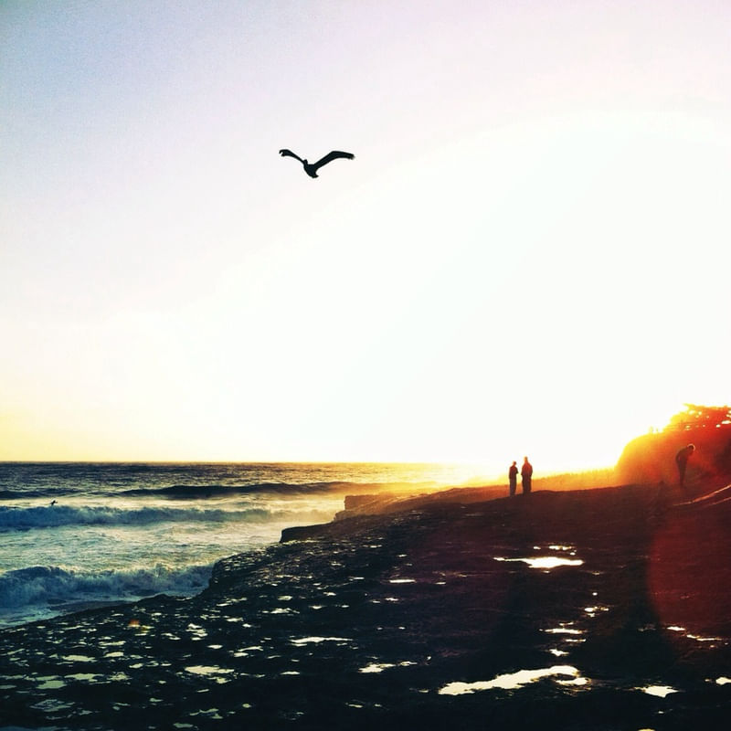 CALI SUNSET II