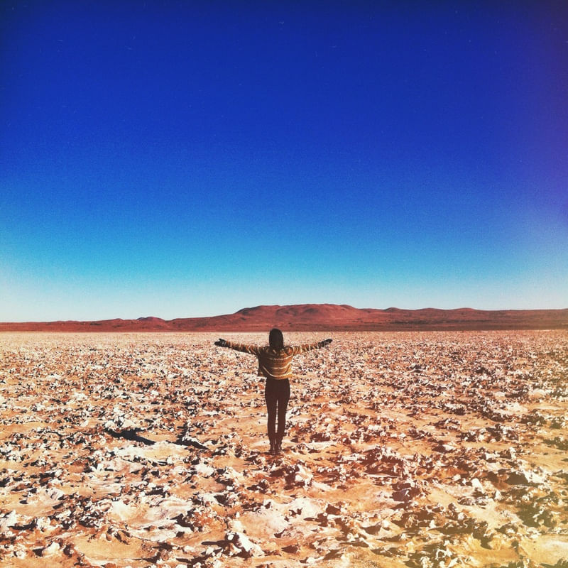 DESERT VIBES