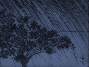 CERRADO: ÁGUAS DE MAIO-AZUL