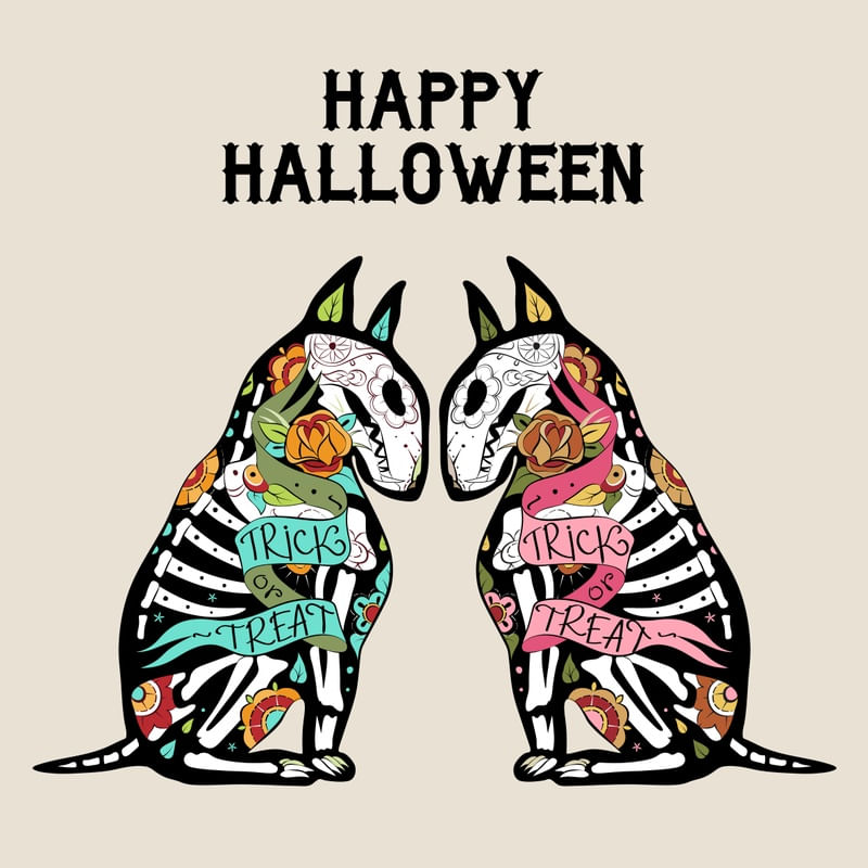 HAPPY H