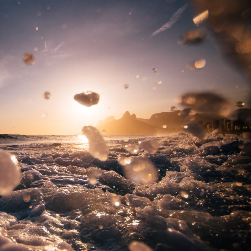 IPA SPLASH
