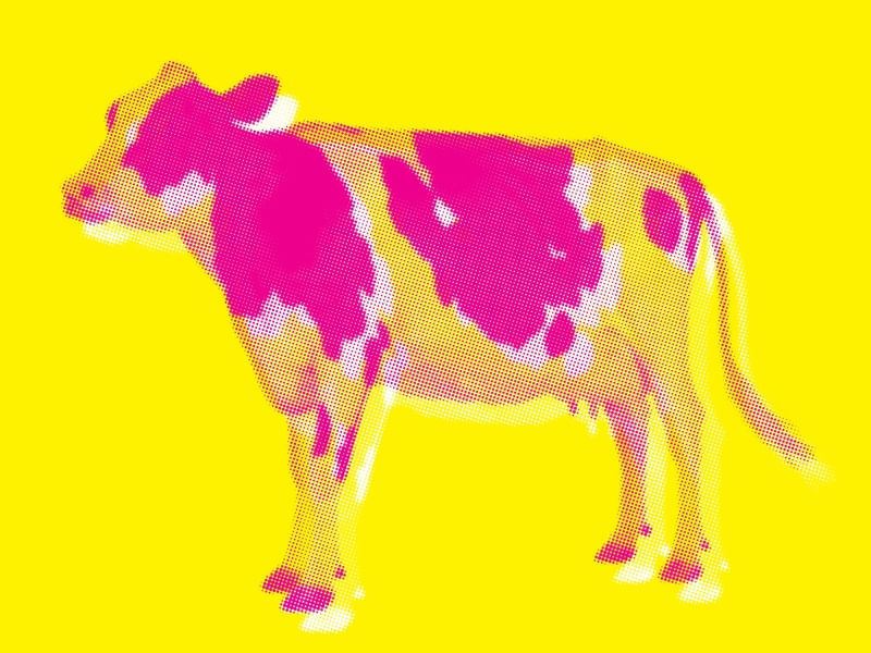 POPCOW 01