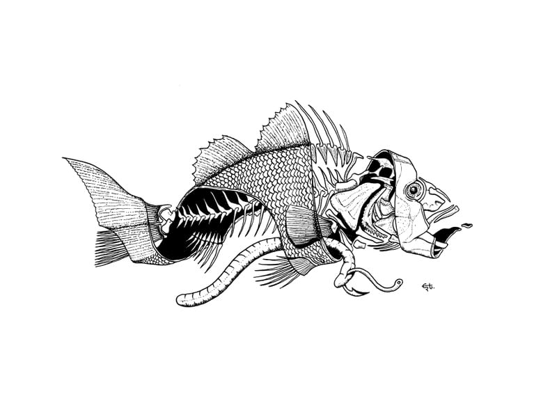 PEIXE ANZOL MINHOCA