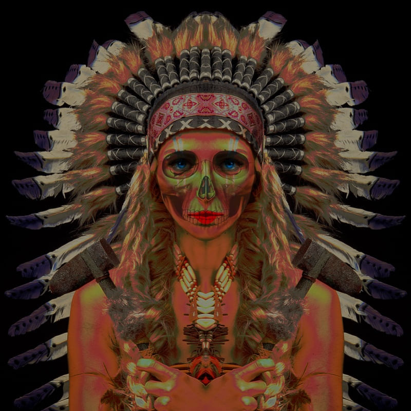 NATIVE SKULL INDIAN