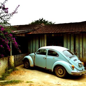 FUSCA FLORAL
