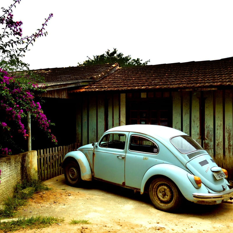 FUSCA FLORAL