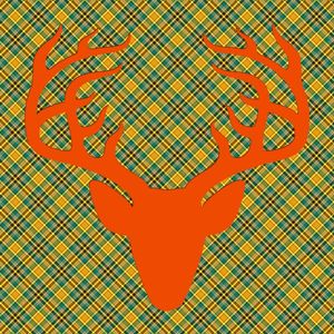 ALCE HIPSTER ORANGE