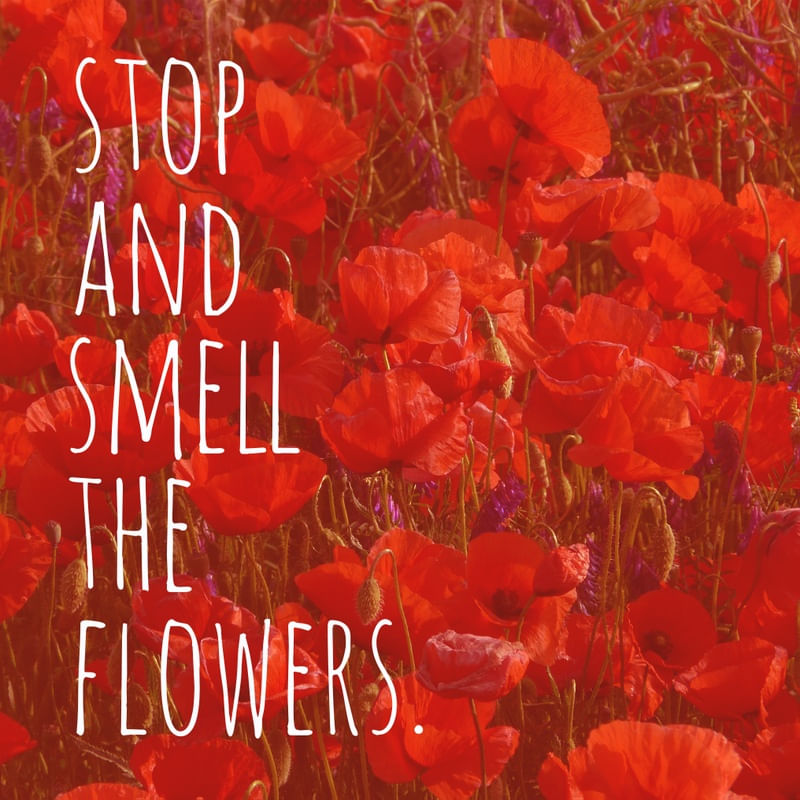 STOP AND SMELL THE FLOWERS