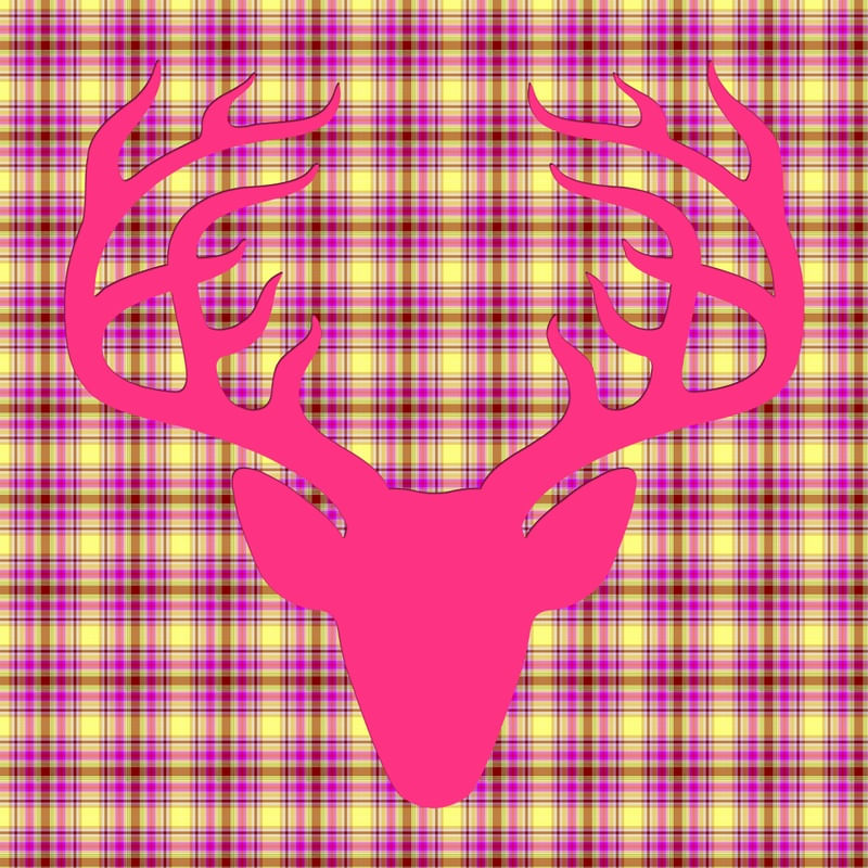 ALCE HIPSTER PINK