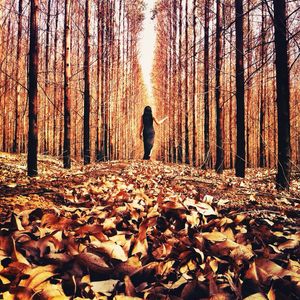 NATURE LADY