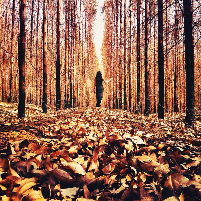NATURE LADY