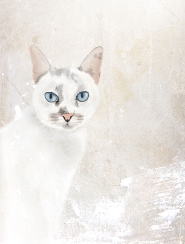 GATA GHOST