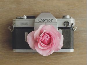 CAMERA DE FLOR