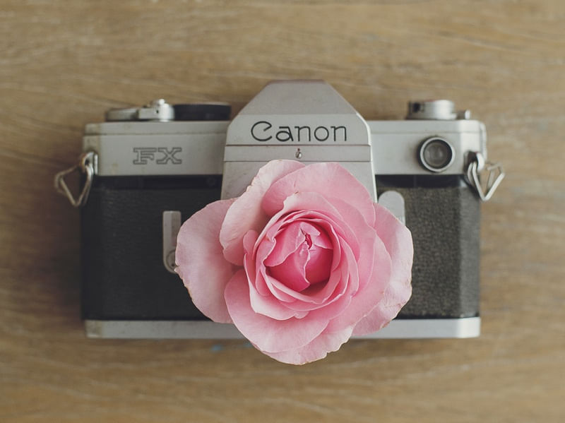 CAMERA DE FLOR