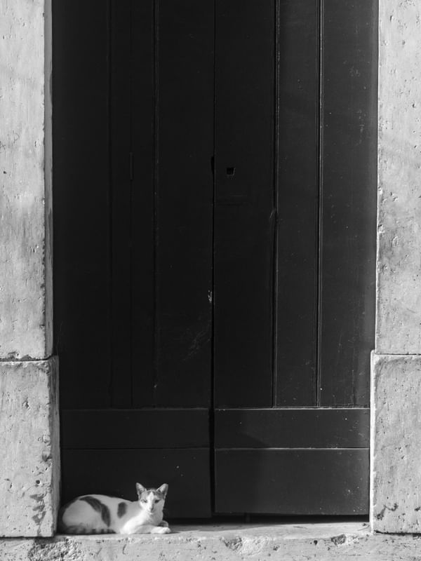 GUARDA DE RUA