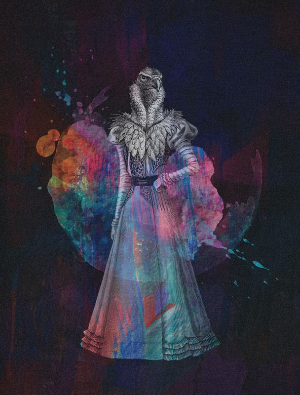 LADY VULTURE COLORS