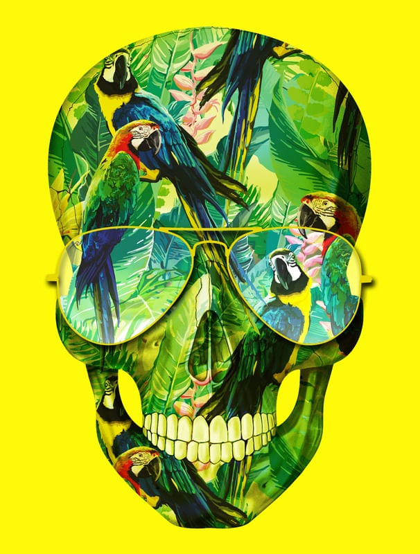 SKULL COLORFUL PARROTS