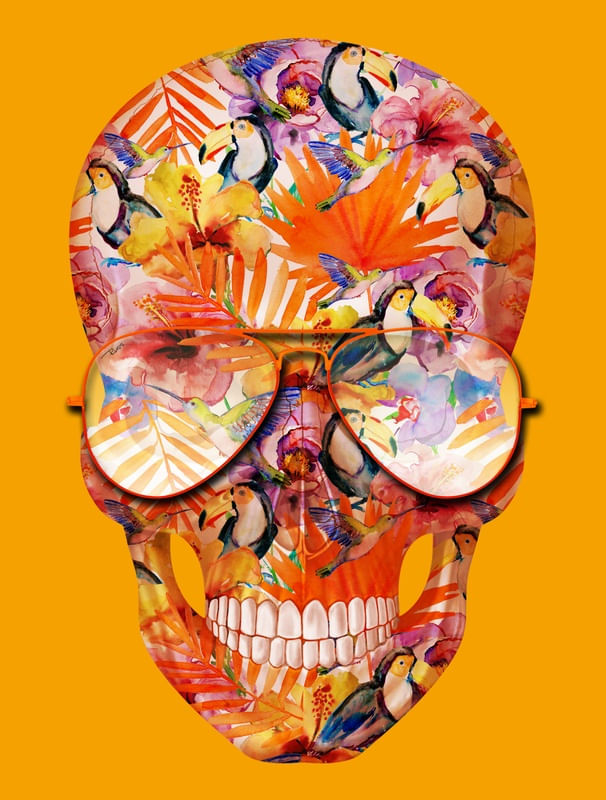 Quadro Decorativo SKULL COLORFUL TOUCAN
