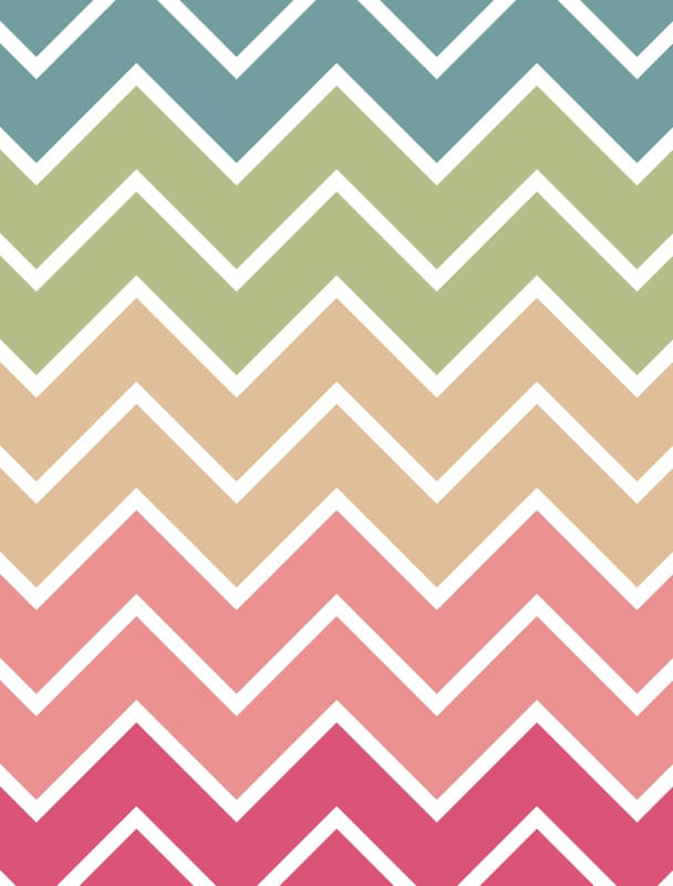 CHEVRON PALETTE 07