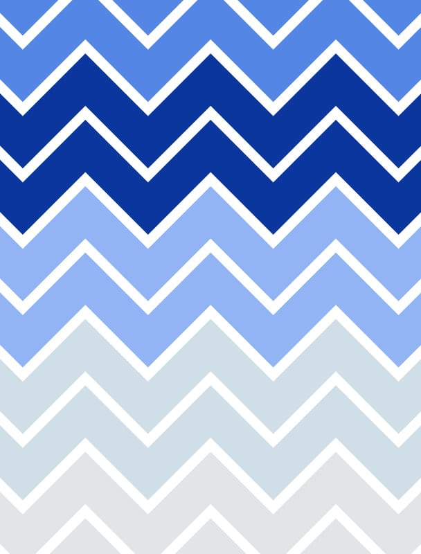 CHEVRON PALETTE 11