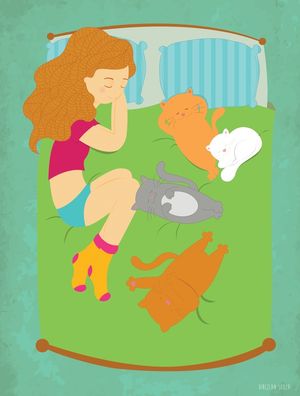 VIDA COM GATOS