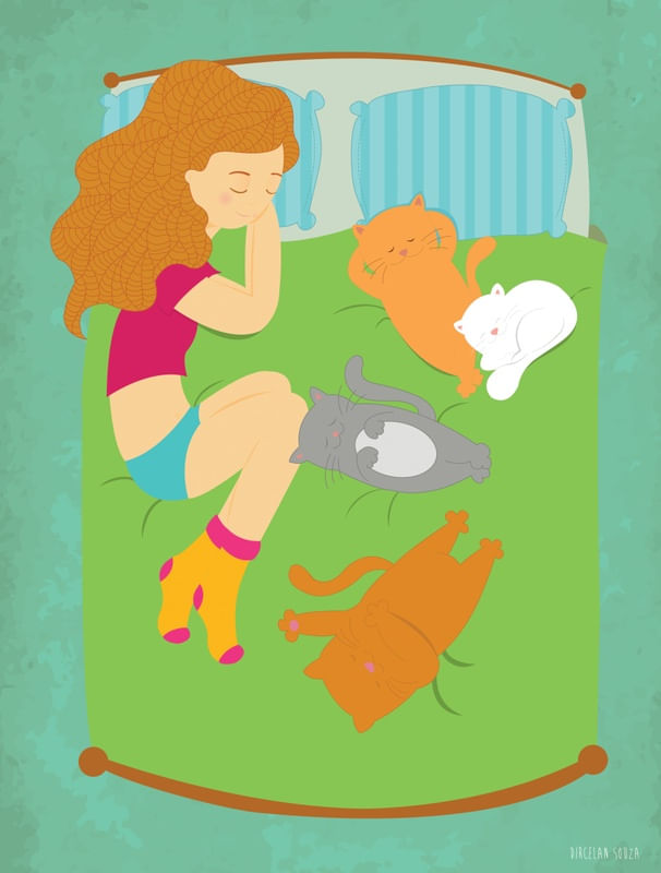 VIDA COM GATOS