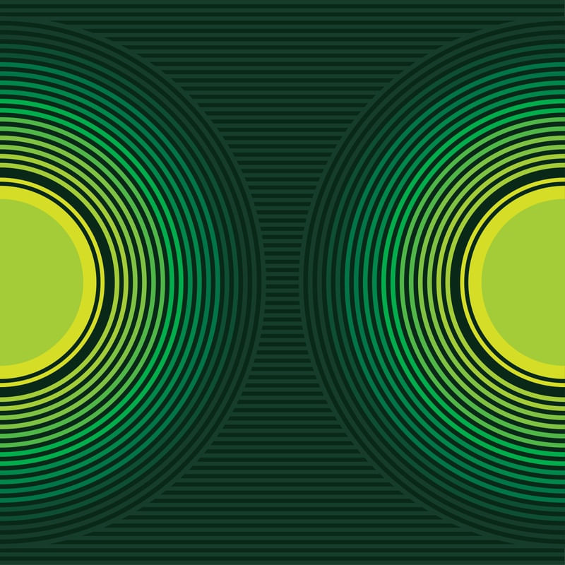 DOUBLE DISC GREEN