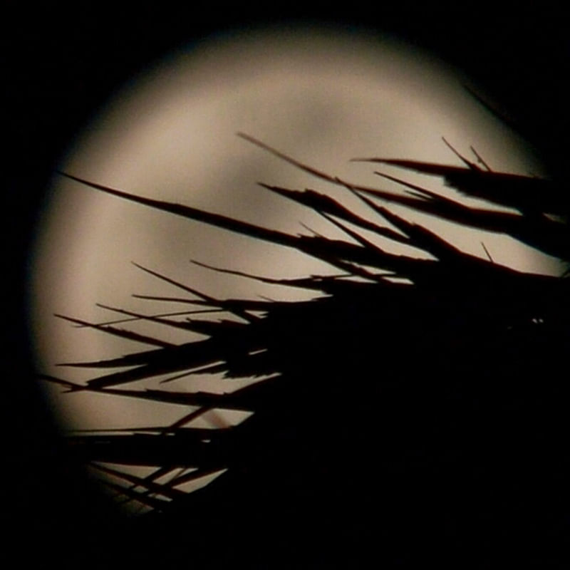 SUPER LUA1
