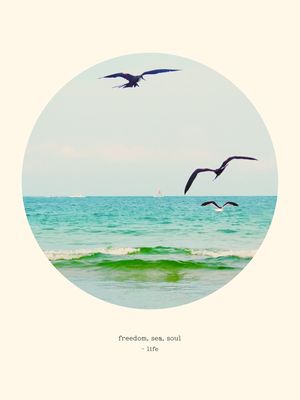 FREEDOM LIFE