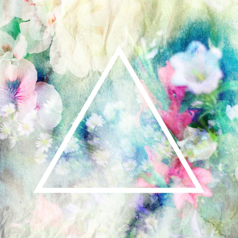 TRIANGULE ABSTRACT FLOWER 2