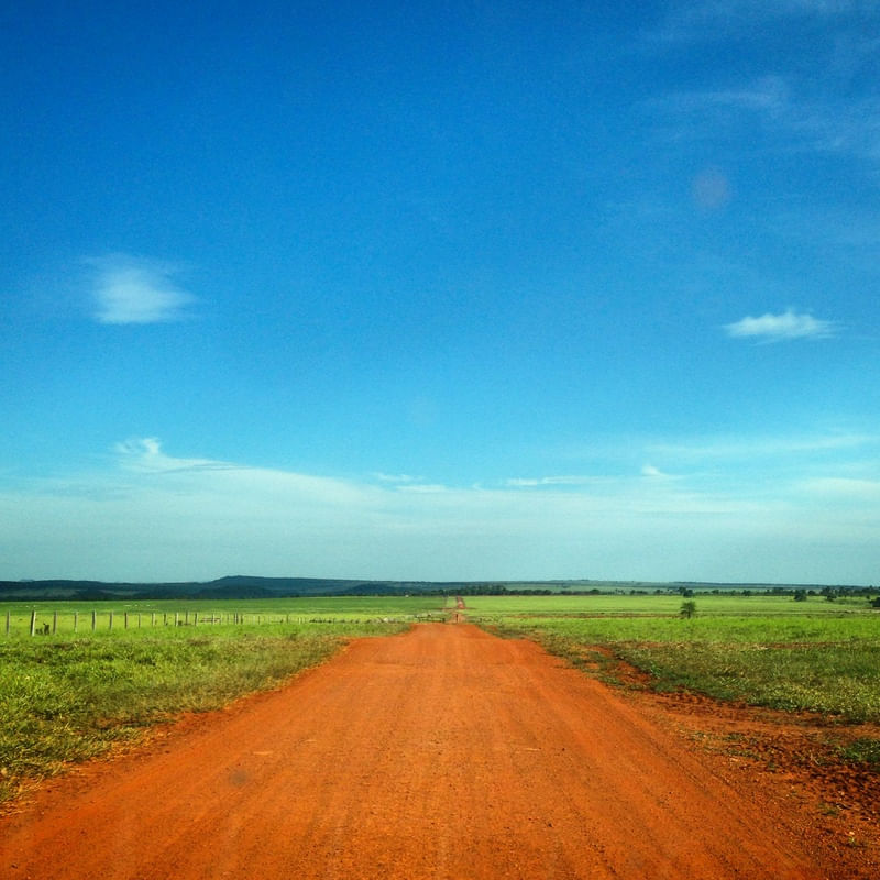 CAMINHO PRO INTERIOR