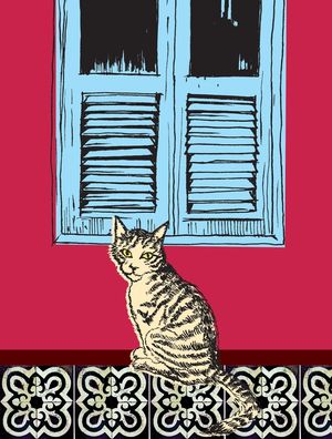 GATO E JANELA 2